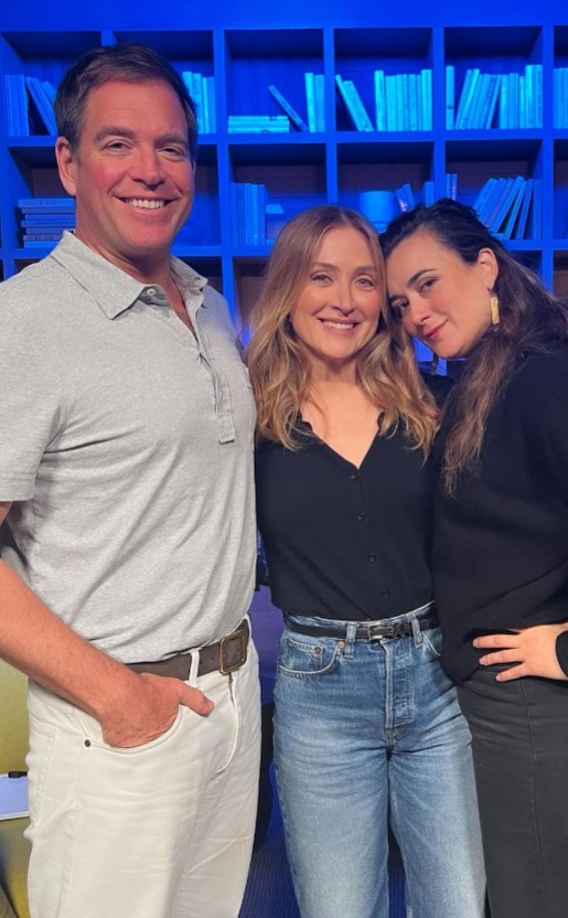 Michael Weatherly Reveals His Favorite Celebrity Guest Stars on NCIS(02)